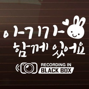 (JCB-167) SET_심플토끼+블랙박스 [자동차스티커/아기가타고있어요]