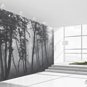 뮤럴벽지 디자인벽지 (NW3540) 안개숲 사이에서 /인테리어벽지/아트벽지/사진/레터링/나무/흑백/무채색/거실벽지